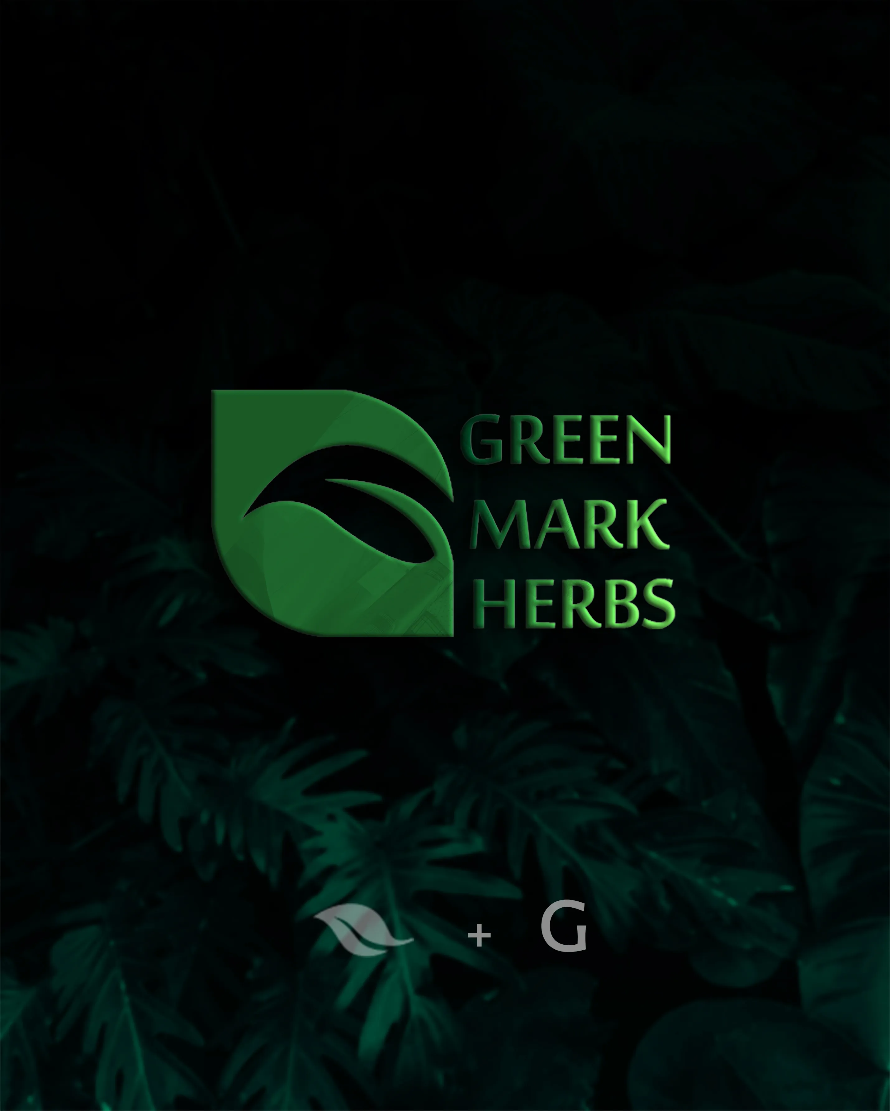 green mark herbs - تصویر 4